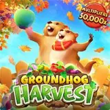 Groundhog Harvest