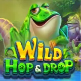 Wild Hop and Drop