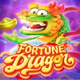 Fortune Dragon