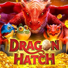 Dragon hatch